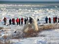 Polar Bear Photo Safari - Bill Lyne
